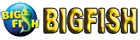 Big Fish Games