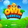 Owl Rescue