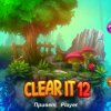 Clear It 12