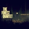The Forest Quartet
