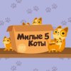 1001 пазл. Милые коты 5